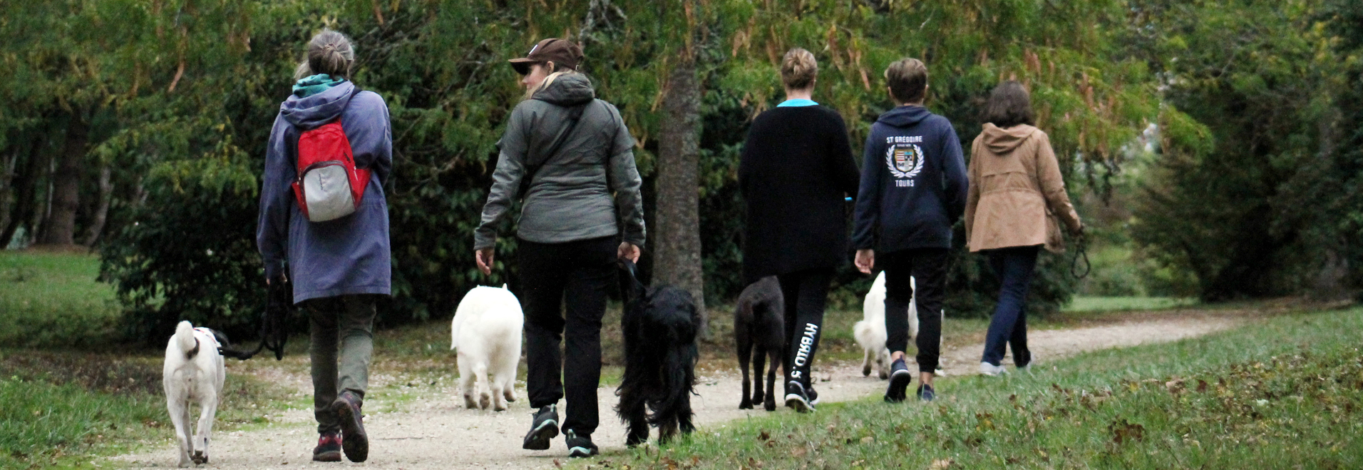 BALADES CANINES